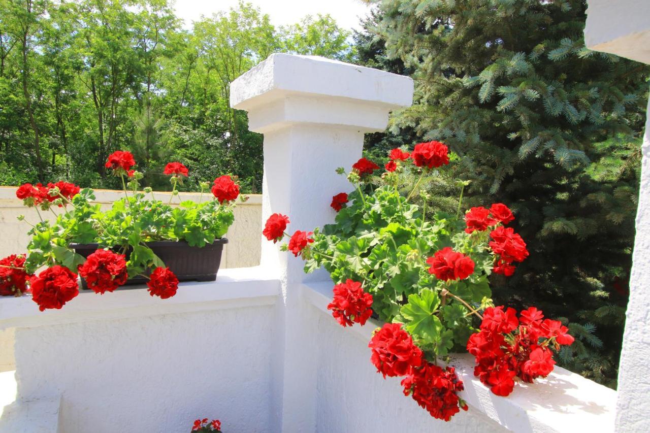 Sumski Raj Villa Subotica Exterior photo